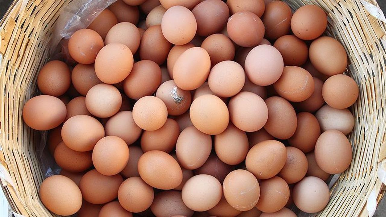 Yumurta fiyatlarındaki zam tüketiciyi etkiledi!