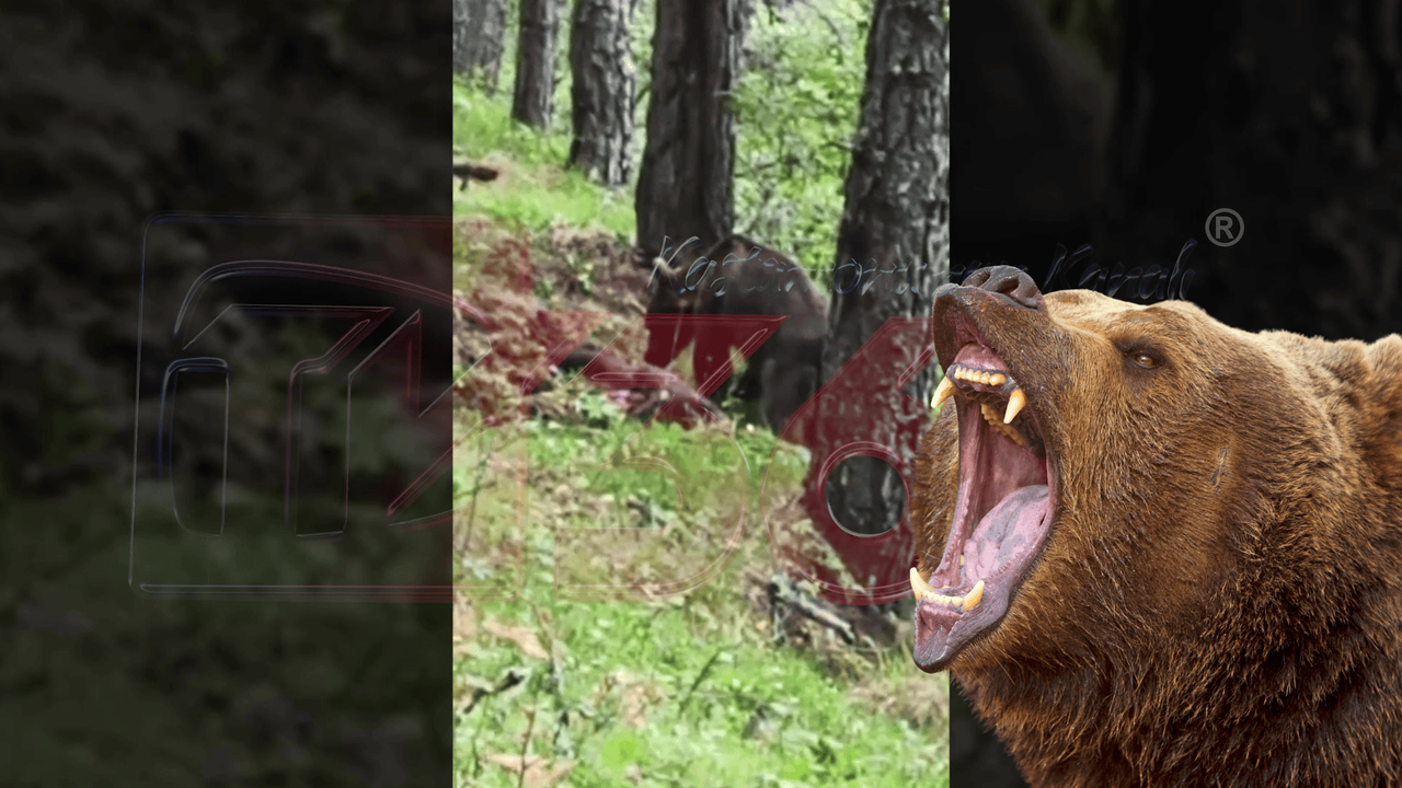 Bakan Işıkhan'ın Kastamonu programı belli oldu