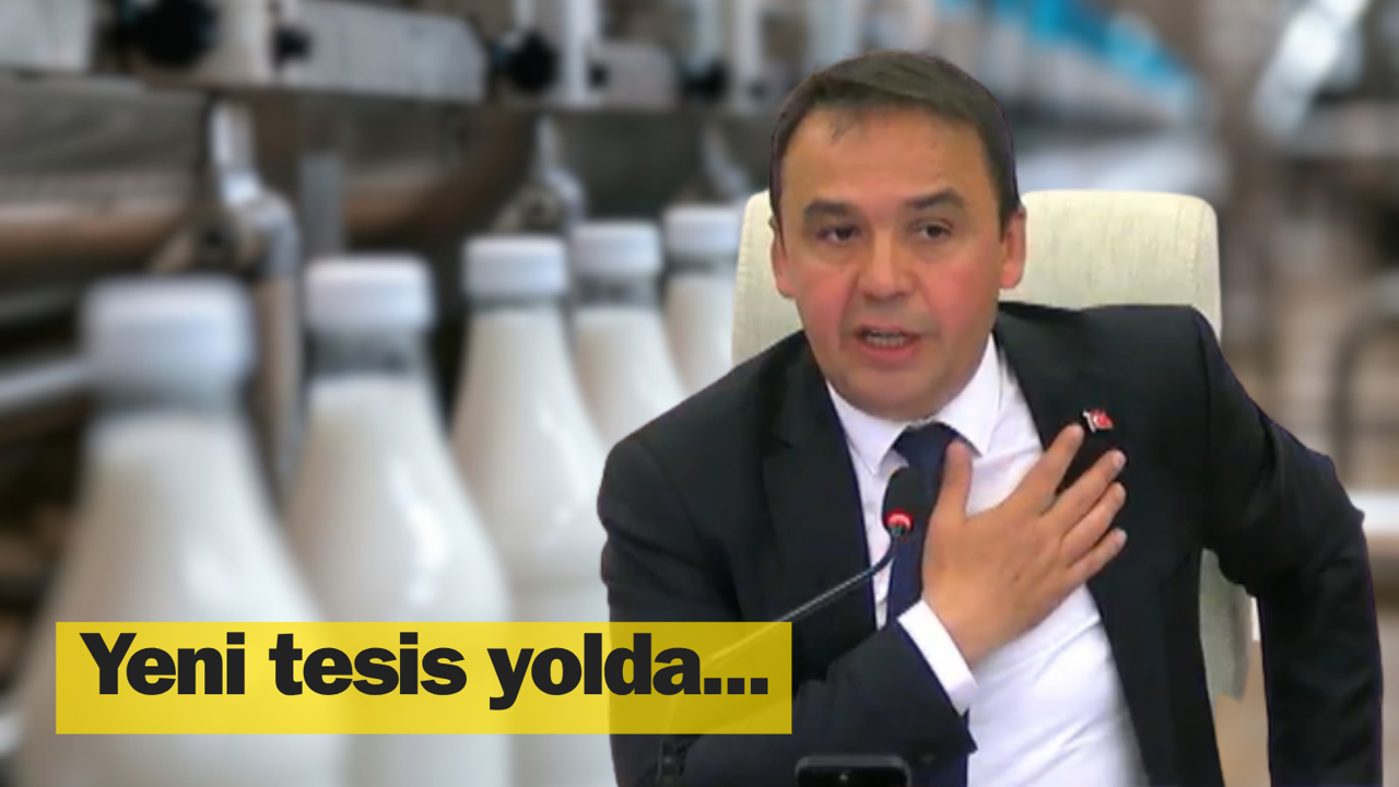 Kastamonu Belediyesi süt ve peynir üretimine hazırlanıyor!