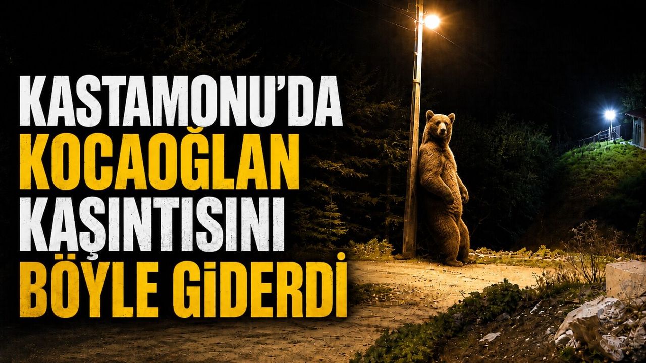 Kastamonu'da kocaoğlan kaşıntısını böyle giderdi!