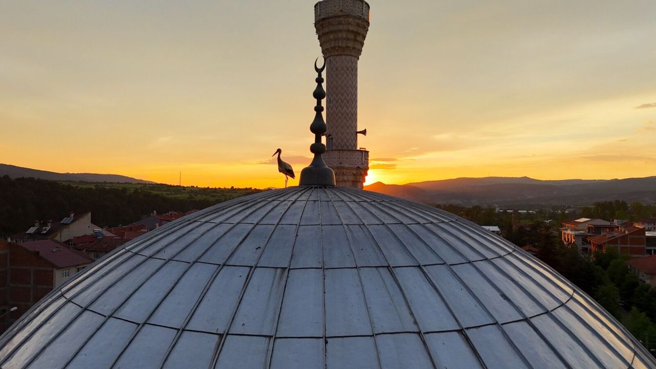 Kastamonu'da leyleklerin büyüleyen gün batımı anları