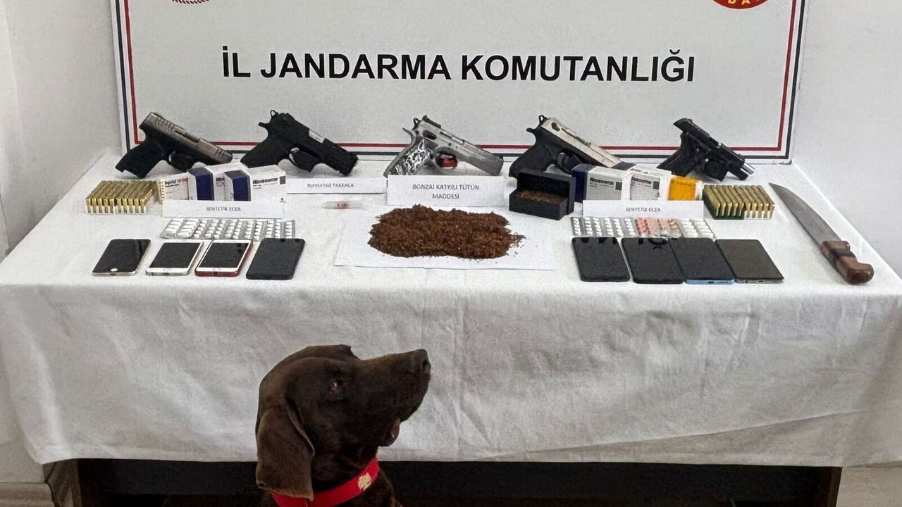 Kastamonu'da 'NARKO Kaplan' ile operasyon: 9 gözaltı