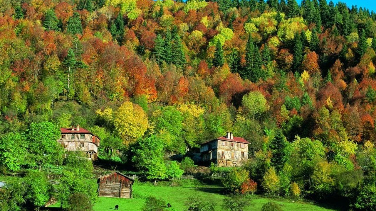 Batı Karadeniz'de ezber bozan gerçek: Kastamonu değilmiş!