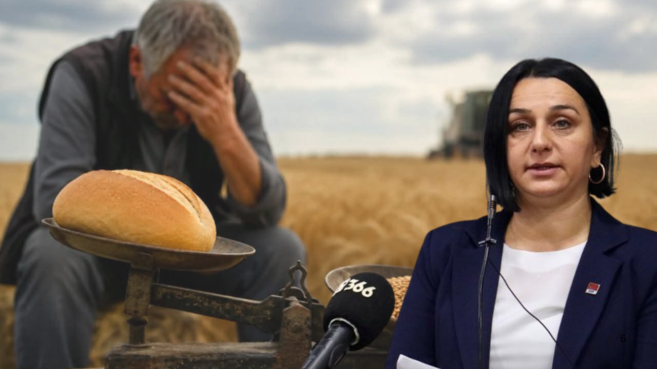 Karabacak: "Çiftçinin yüzünün gülmesine AK Parti iktidarı izin vermiyor"
