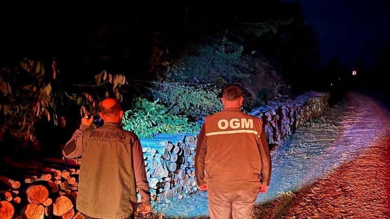 Kastamonu’da orman koruma ekipleri sahada
