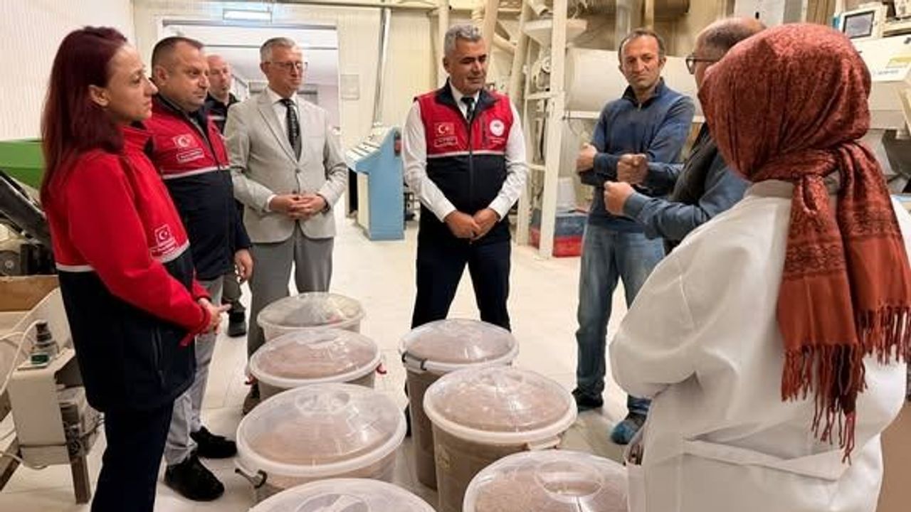 Kastamonu’da siyez ürünleri üretim tesislerinde incelendi