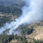 Kastamonu’da korkutan yangın büyümeden söndürüldü