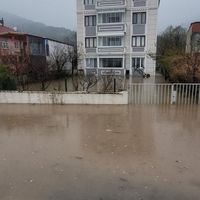 İlçeler