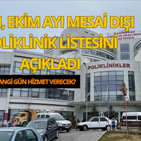 Sağlık
