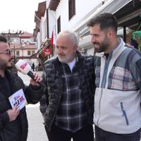 TV366