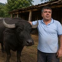 Asayiş