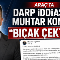 Politika