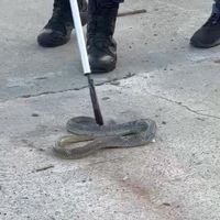 İlçeler