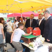 İlçeler