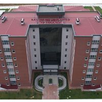 Sağlık