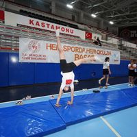 Spor