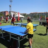 Eğitim