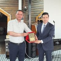 İlçeler