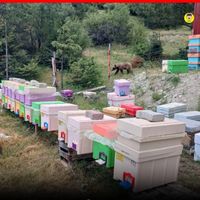İlçeler