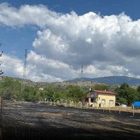 Asayiş