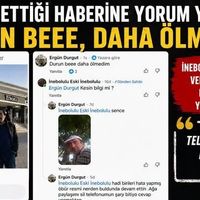 İlçeler