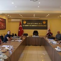 Merkez