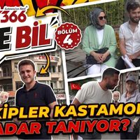 TV366