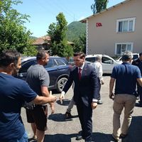 İlçeler