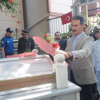 İlçeler