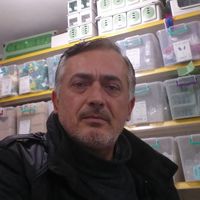 İlçeler
