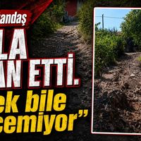 İlçeler