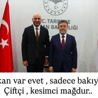 Politika