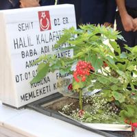 İlçeler