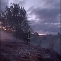 Asayiş