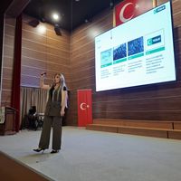 Sağlık
