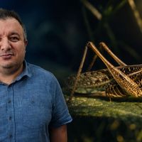 Gündem