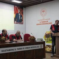 Merkez