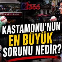 TV366