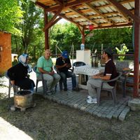 Asayiş