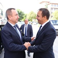 Merkez