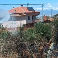 Asayiş