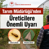 Gündem