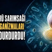 Bilim