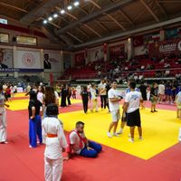 Spor
