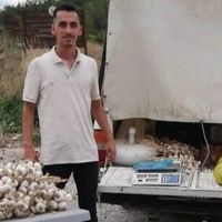 İlçeler