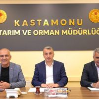 İlçeler