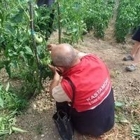 İlçeler