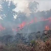 Asayiş