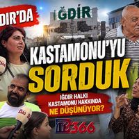 TV366