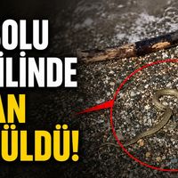 İlçeler